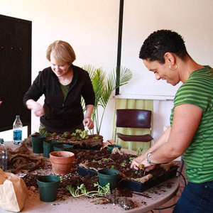 living-wall-program. Two people are working with plant material during a workshop. 