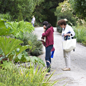 Plan Your Visit Uc Botanical Garden