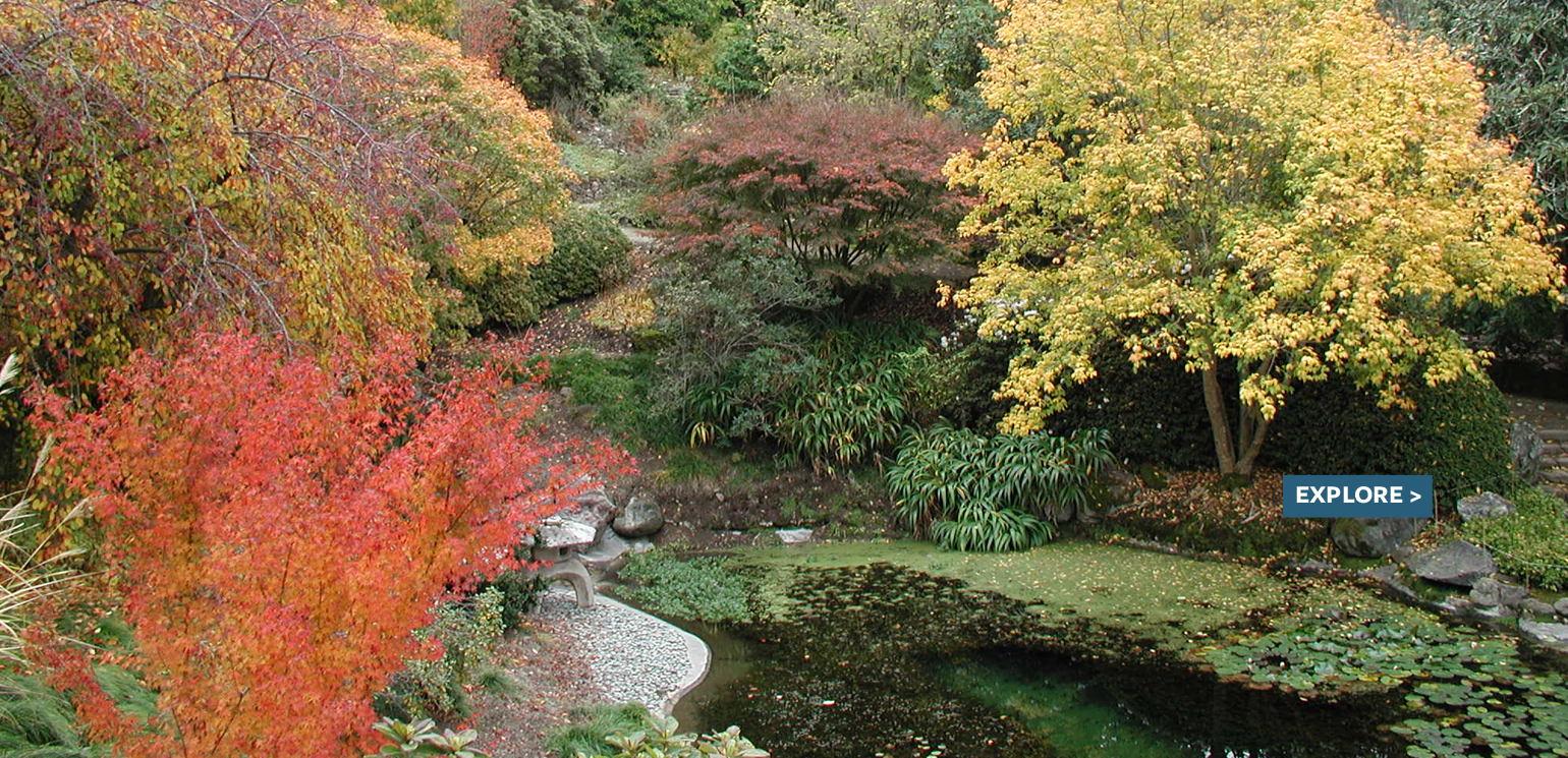 Fall Color Uc Botanical Garden
