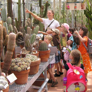 a picture of a tour guide showing children cactus 