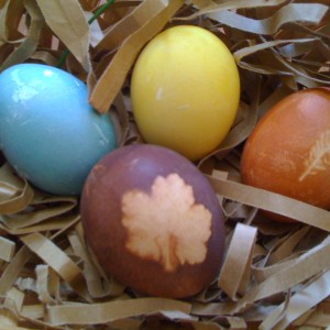 Four colorful eggs dyed with plants in natural hues, blue, yellow, purple and gold.