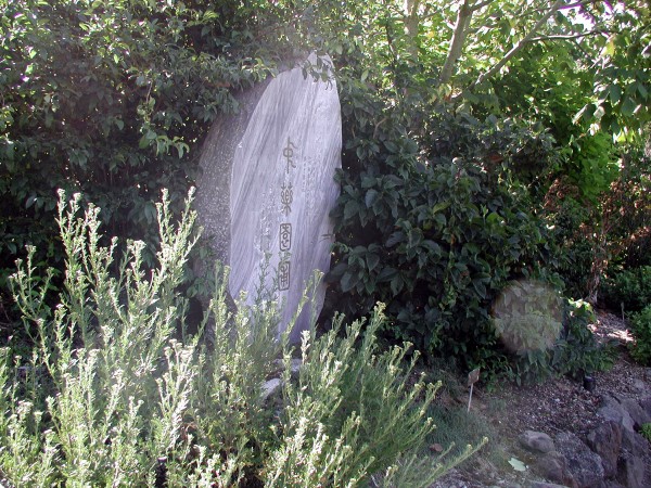 a stone with chinese writting surrouned by green plants 