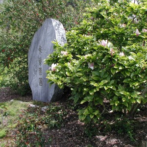 a stone with chinese writting in the Chinese Medicinal Herb Garden 