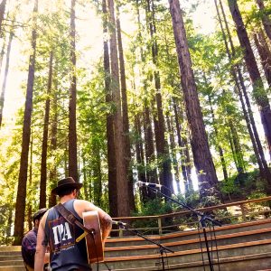 Image of a musician in the Redwood Grove. 