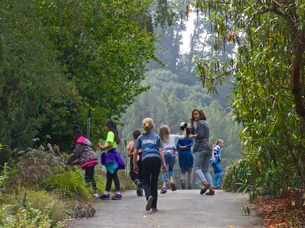 Children walking along a Garden path with a Camp counselor