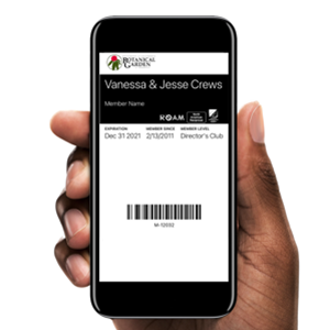 a phone showing the online membership card