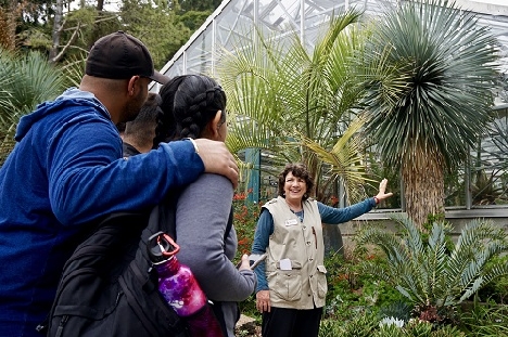a tour guide showing some trees to a group of visitors 