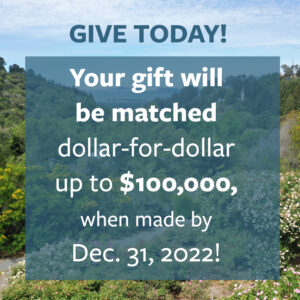 Give today. Your gift will be matched dollar-for-dollar up to $100,000 when made by Dec. 31, 2022.