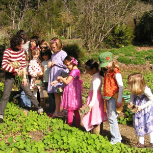 Children in the Garden on a sunny day