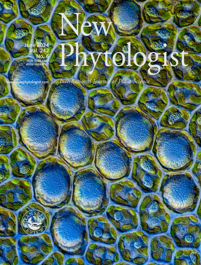 New Phytologist magazine cover
