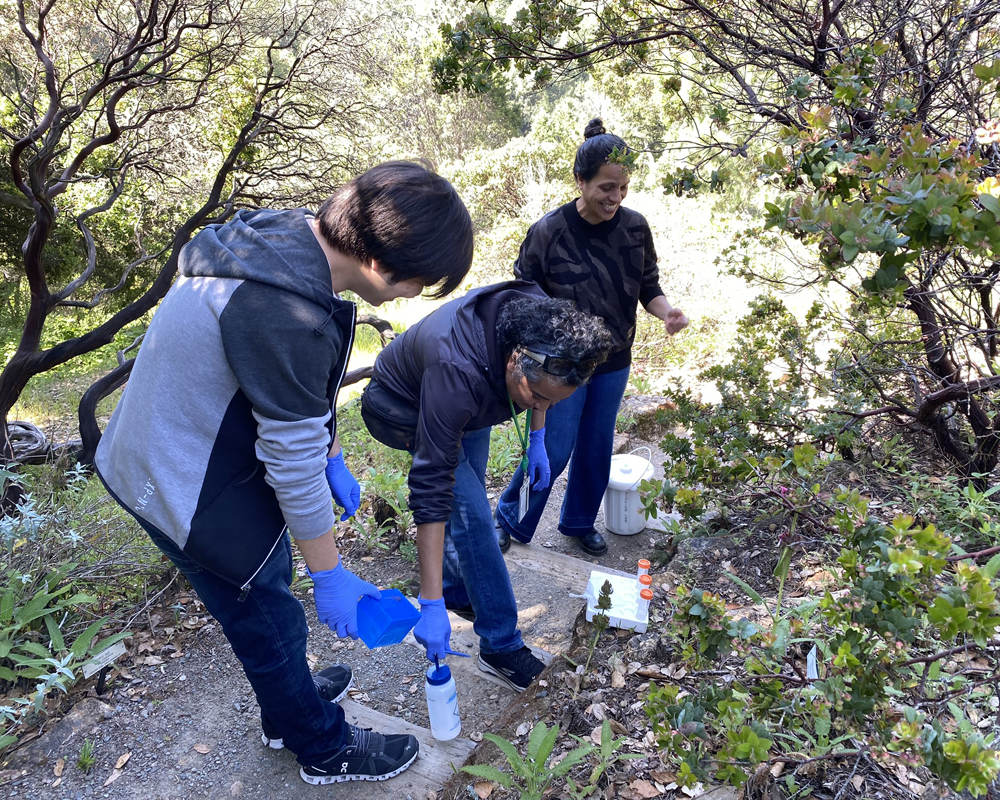 A woman and two men in the Garden holding containers and picking plants