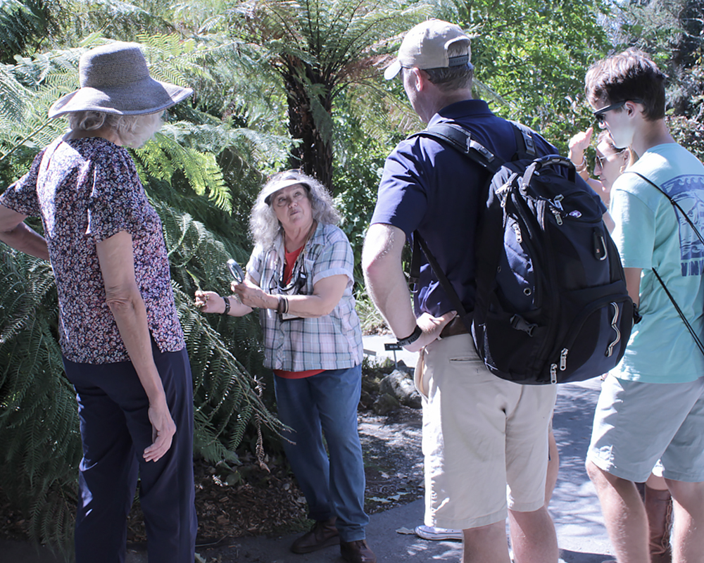 A group of people look at a woman with a magnifying glass in front of a plant