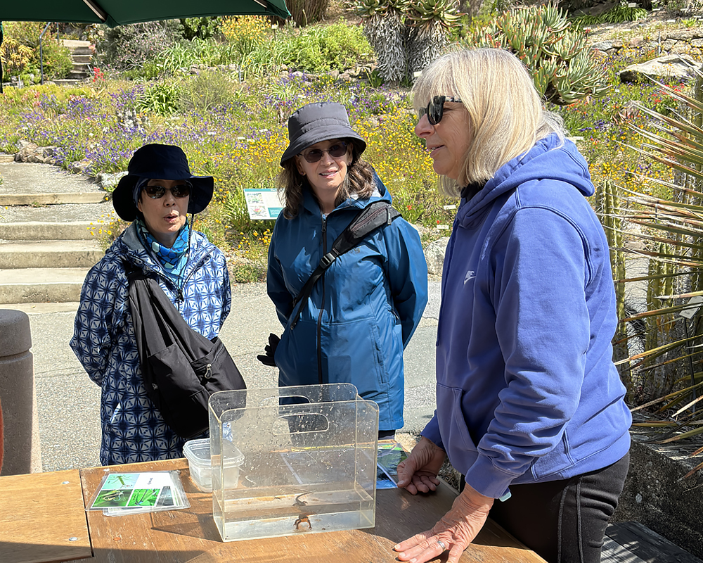 Three women look at a newt in a plastic container