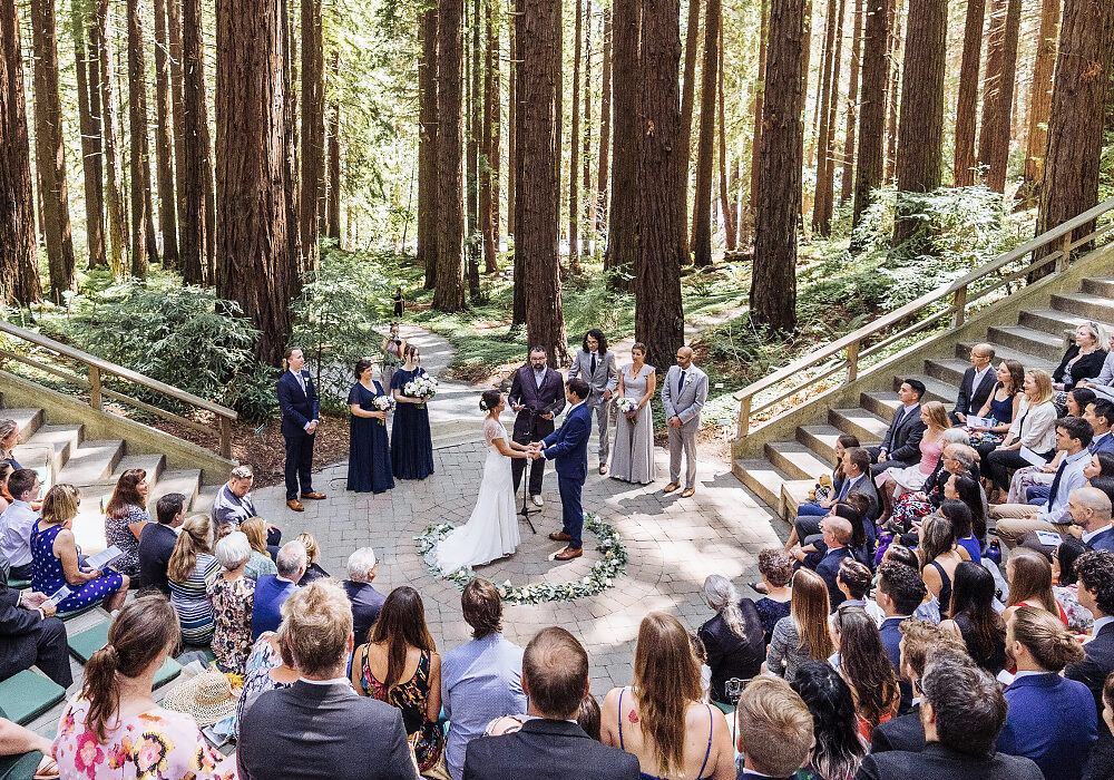 A bride and groom holding hands surrounded by tall redwood trees