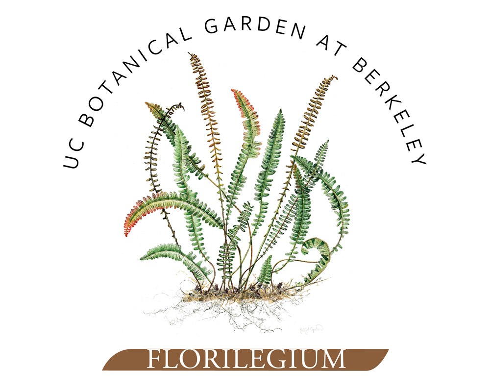 A Florilegium Logo