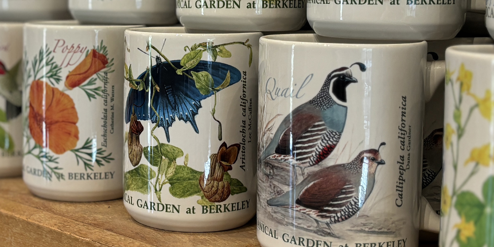 Brightly colored coffee mugs on a shelf