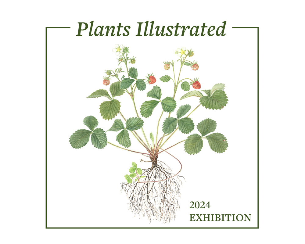 Plants Illustrated 2024 logo