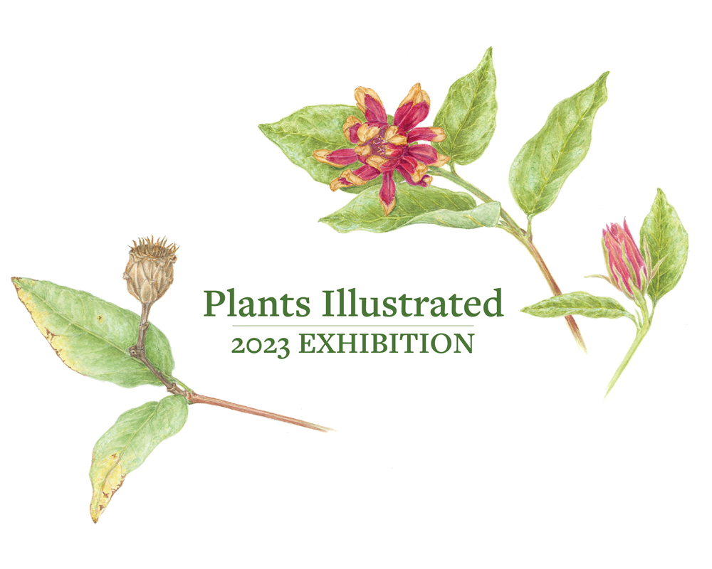 Plants Illustrated 2023 logo