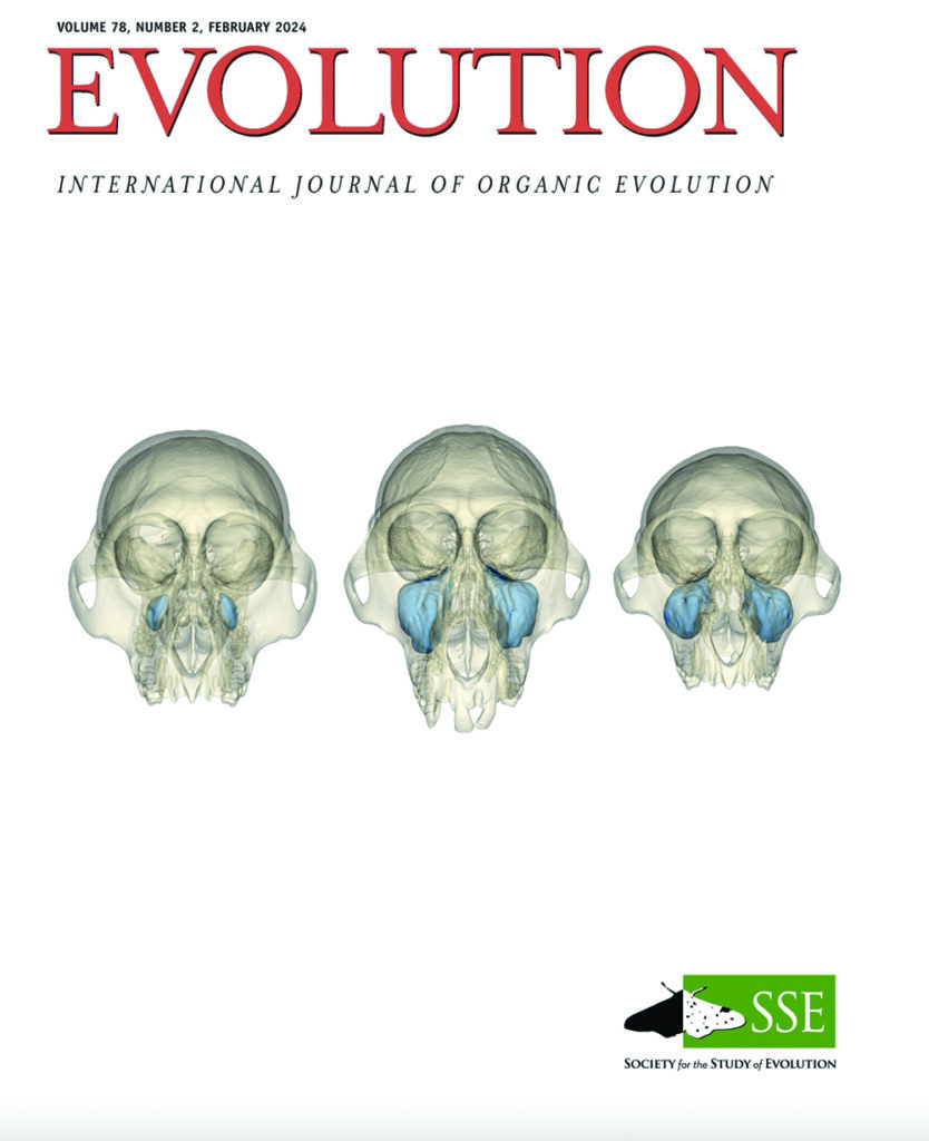 Evolution Magazine cover