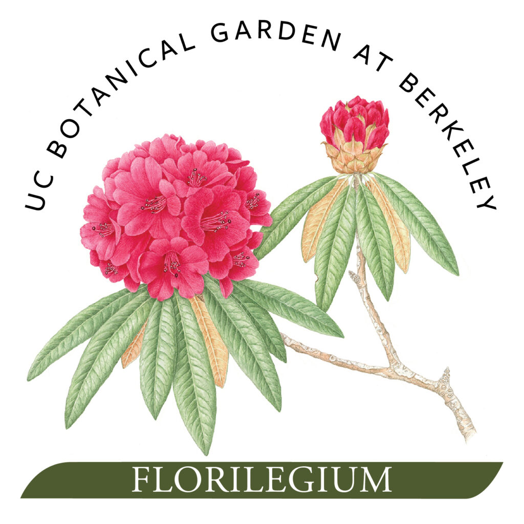 The 2023 Florilegium logo
