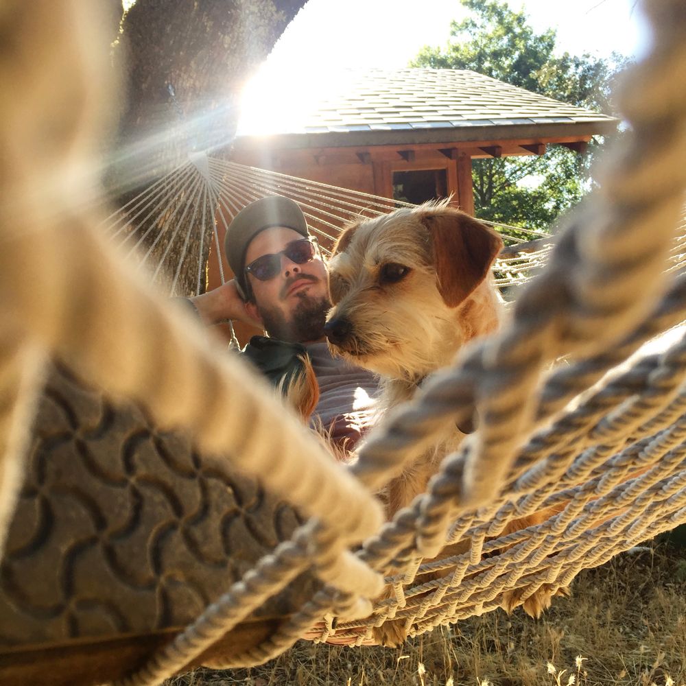 A man wearing sunglasses and a small dog sit in a hammock on a sunny day