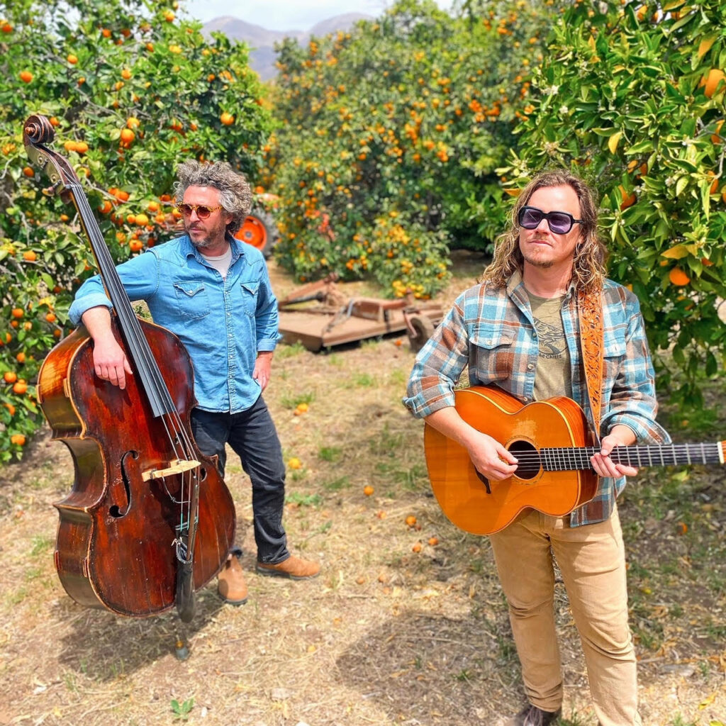 two white men standing a grove of orange trees holding musical instruments