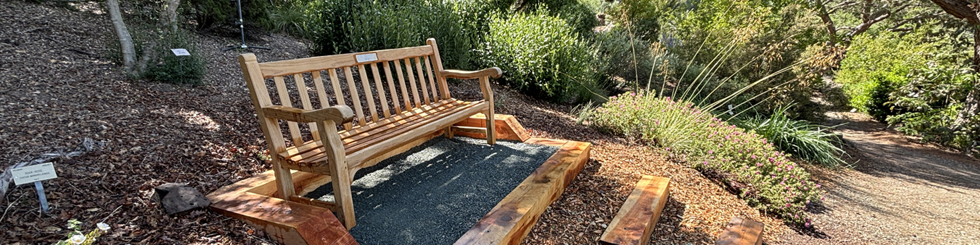 A photo of a wooden bench in a public garden