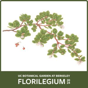 An illustration of a plant with many leaves and text that says: UC Botanical Garden of Berkeley Florilegium 2024