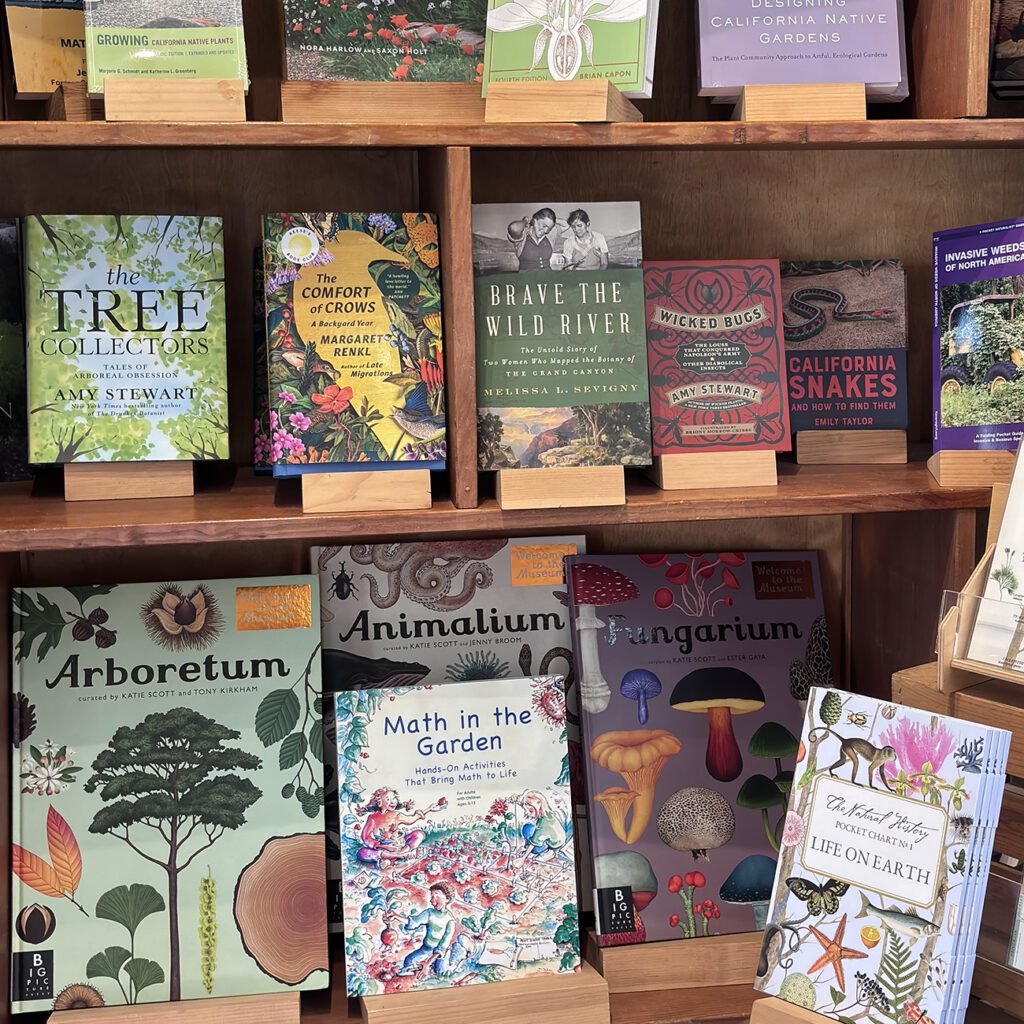 Book shelves with books on display in a shop