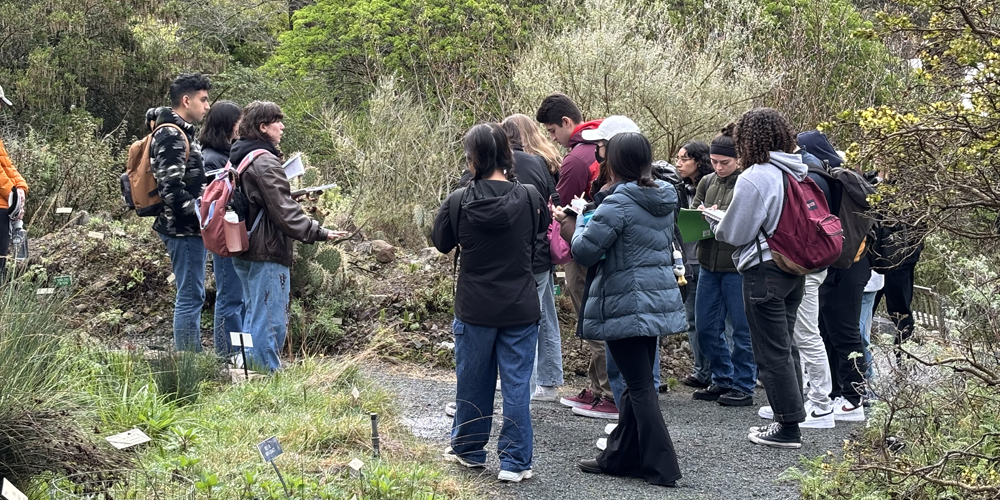 A group of college students are learning in the Garden