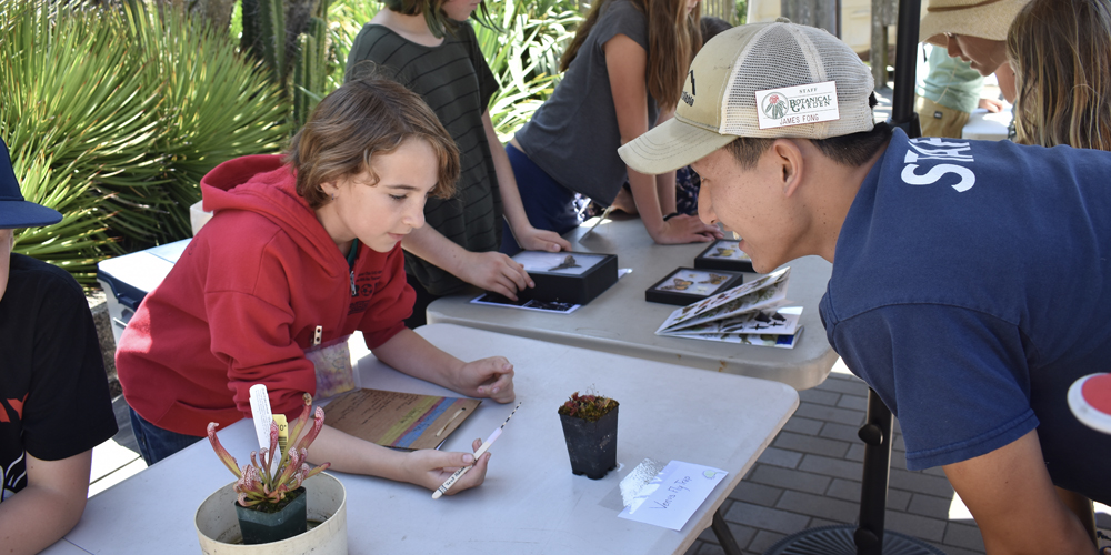 A young boy and a man are looking at a small plant on a table