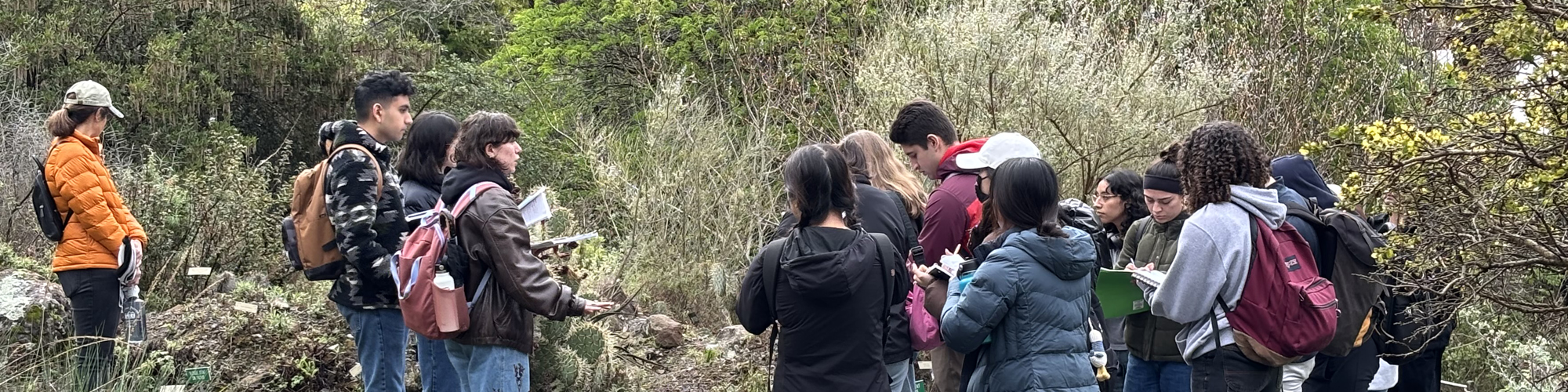 A large group of college students are in a Garden listening to their teacher