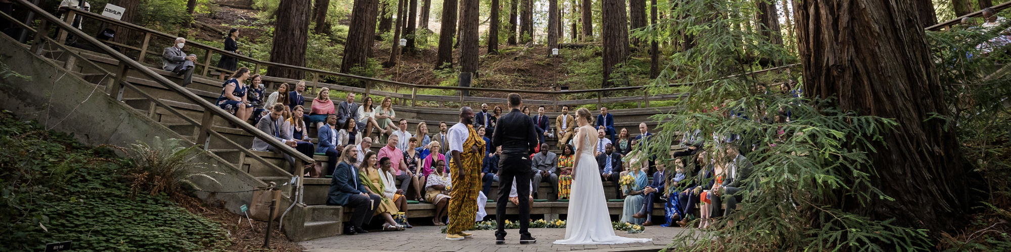 A wedding in an outdoor amphitheater surrounded by large trees