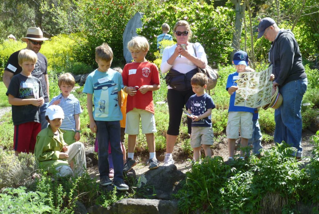 Families at the Herb Garden pool with Faunal Guide