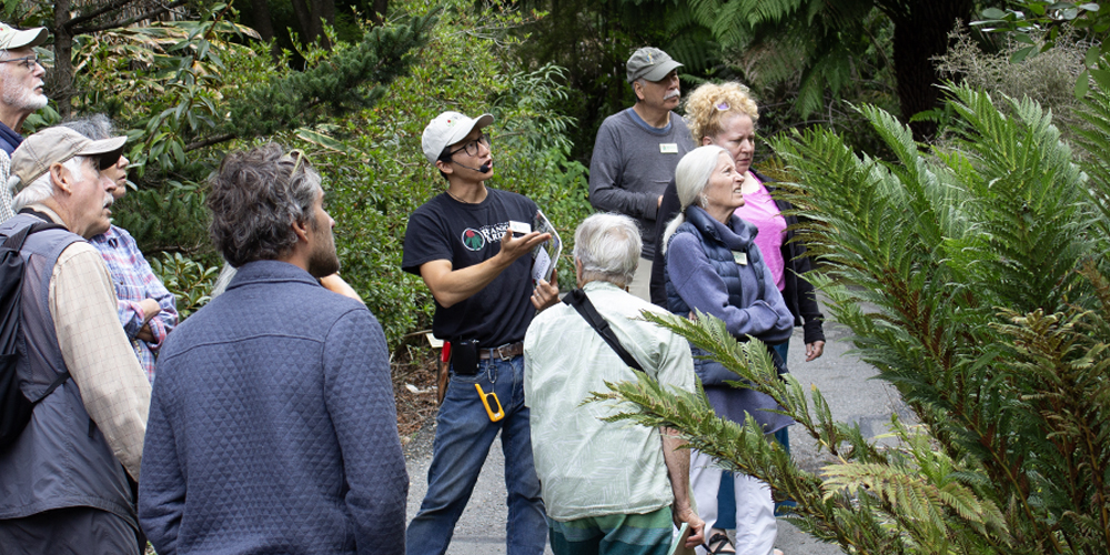 A group of adults are standing in a garden, listen to a man talk about plants