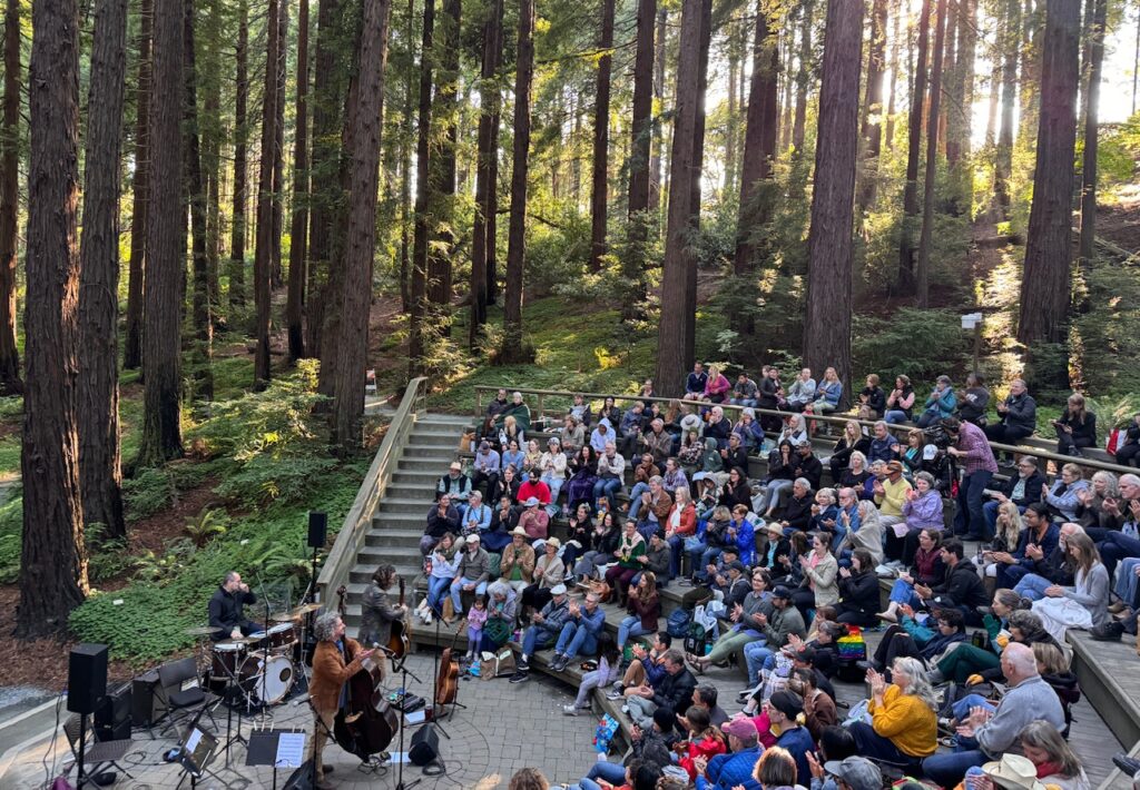 Music concert in the Redwood Grove amphitheater