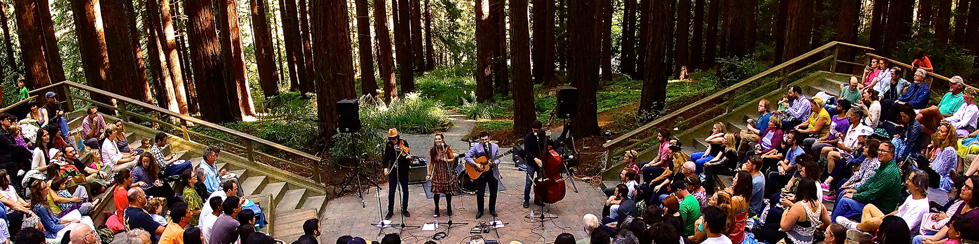 A crowd of people watch a concert in an ampitheater surrounded by tall trees