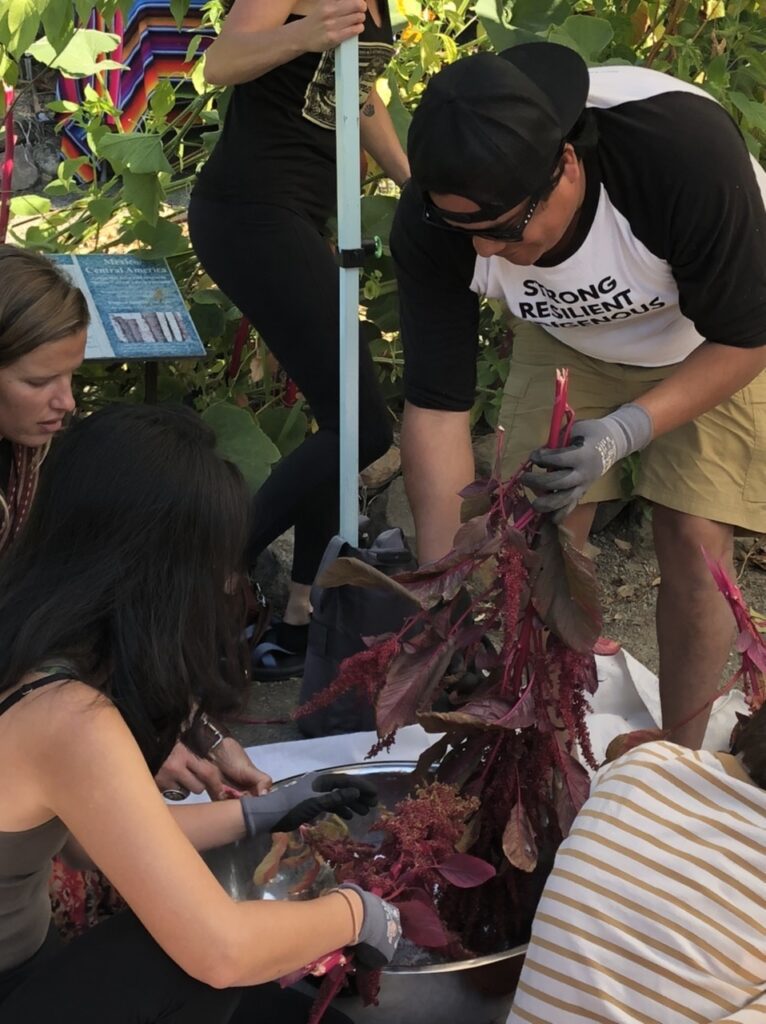 Adults gather around a man holding dark red plants