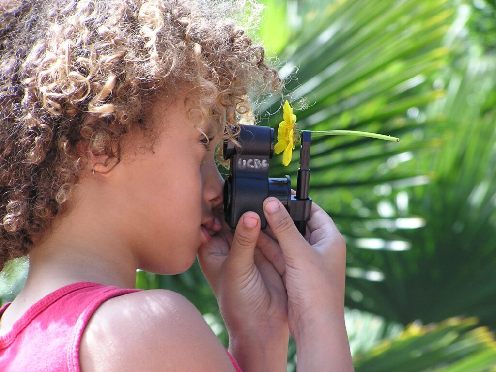 Camper looking at a compound flower through a magnifier.