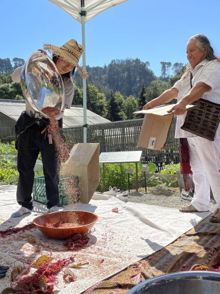 A man and woman are standing outdoors and performing a sacred ceremony with amaranth seeds