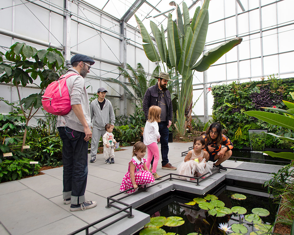 People of all ages enjoy visiting the Garden's Tropical House