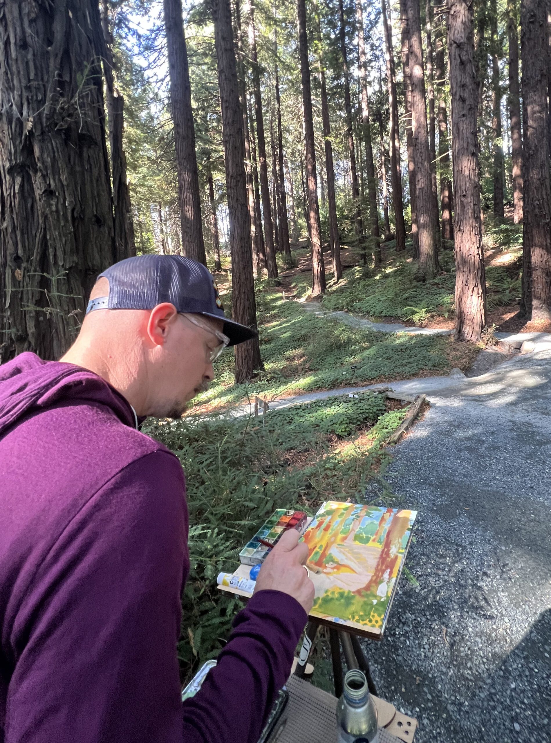 Forest Stearns painting in Redwood Grove