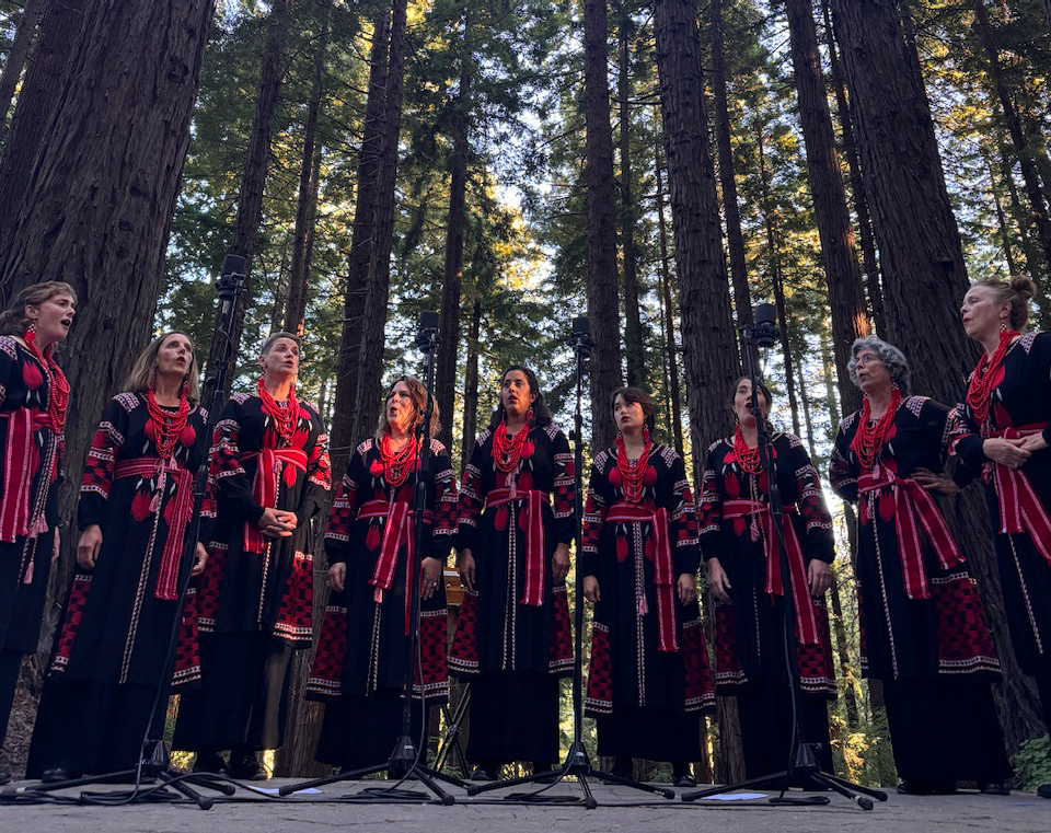 Kitka band photo in the Redwood Grove.