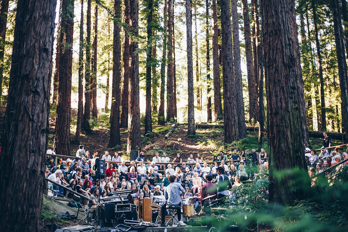 Redwood Grove amphitheater filled with audience and band on stage.